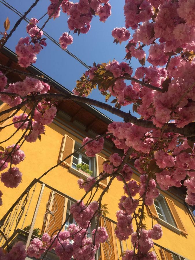 Liberty Room And Breakfast Borgo Val di Taro Exterior foto